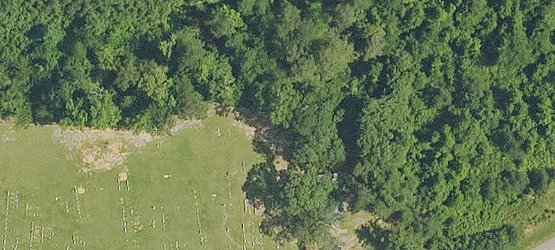 Robeline, LA 71469