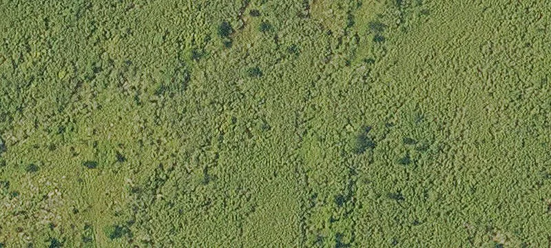 Oak Grove, LA 71263
