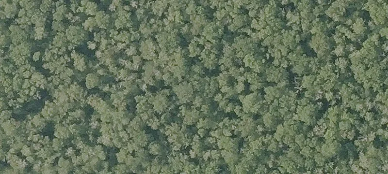 98 New St