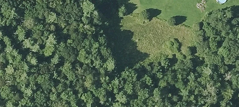 11 Hemlocks