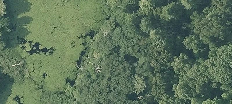 Twin Pond Ln