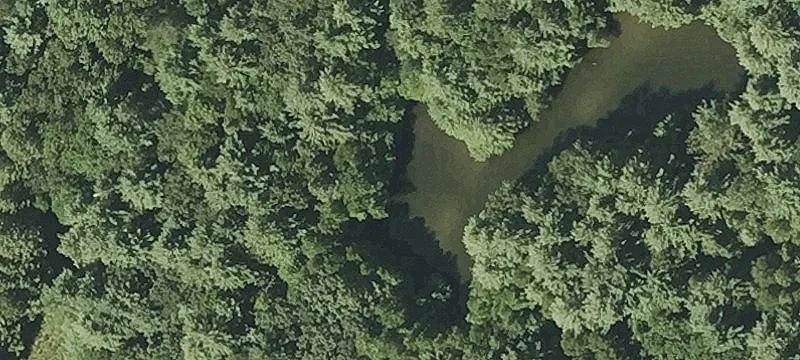 346 Blackmer Rd