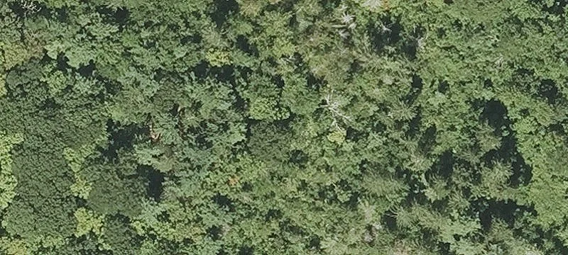 21 Miles Rd