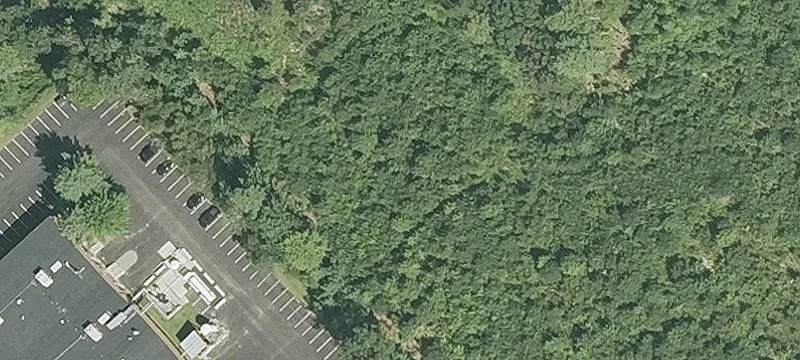 Westford Rd