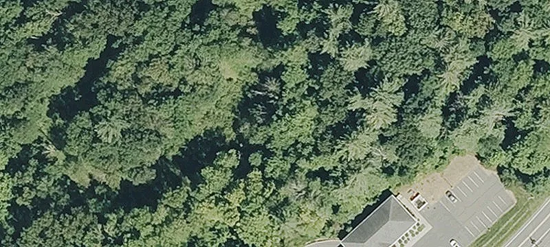 32 College Hwy