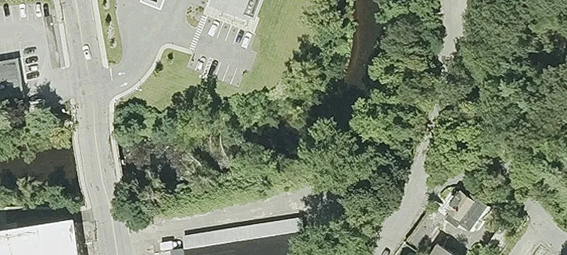 56 Daniels St