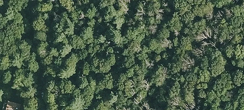 36 Yokun Rd