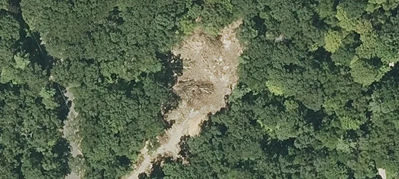 50 Crooked Ledge Rd