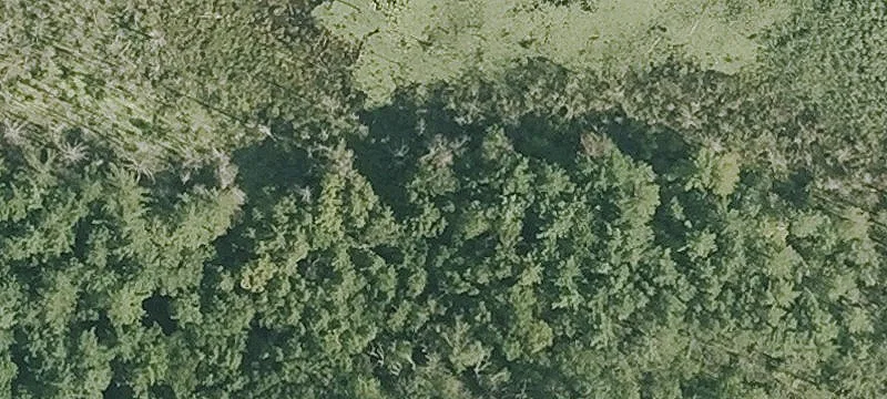 Under Mtn Rd