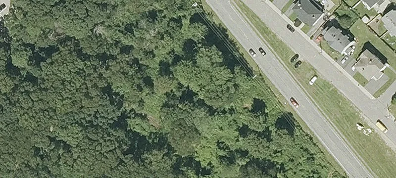 78 Prospect St