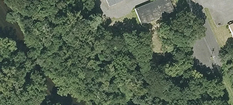 103 Mainline Dr