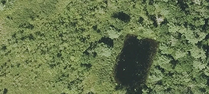 660 Spg St