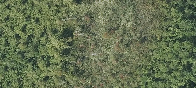 345 Greenfield Rd