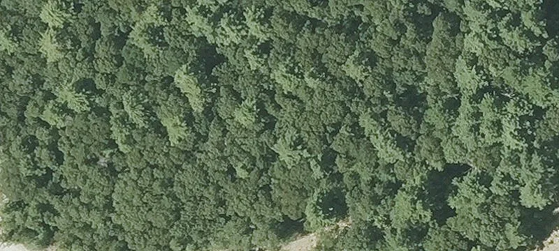 78 Rte 130