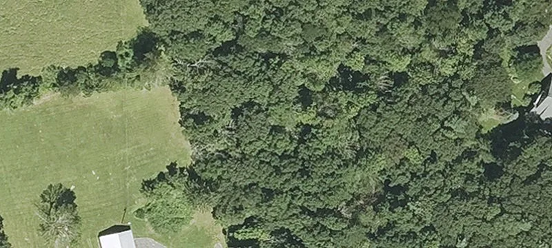 Goodnow Rd