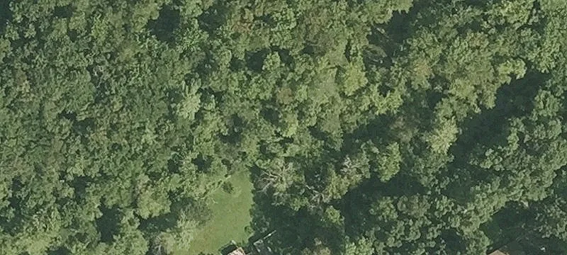 89 Birch Mdw Rd