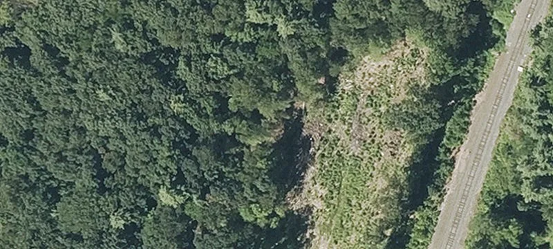 17 Arbor Dr