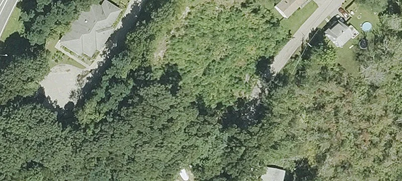 31 Walsh Ave