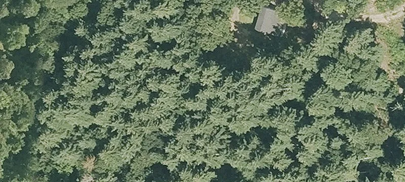 141 Old Palmer Rd