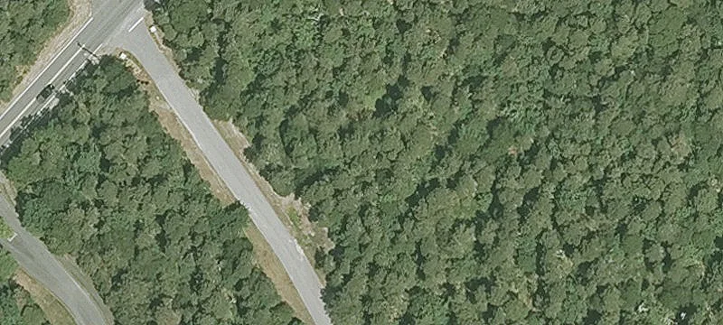 1405 Orleans Rd