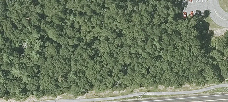 127 Nathan Ellis Hwy