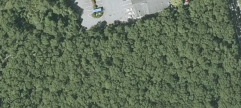 287 Cotuit Rd