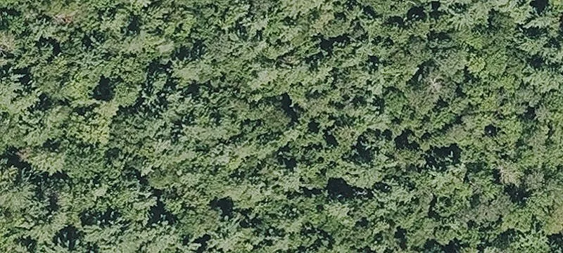 225 Porter Hl Rd