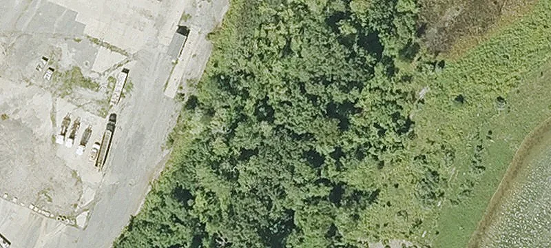 Barefoot Rd