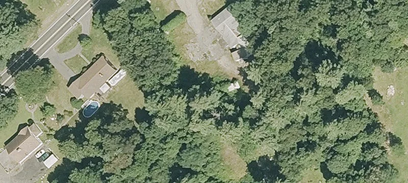 294 Palmer Rd
