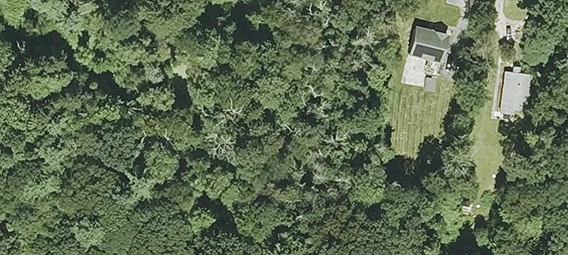 81 Brigham Rd