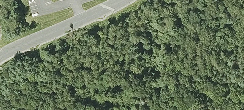 Trolley Xing Rd
