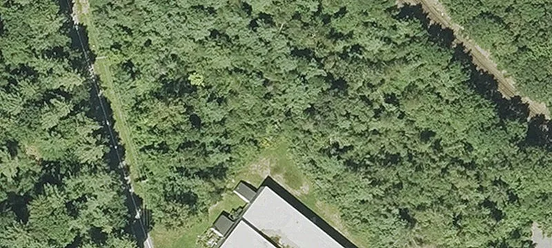 79 Wilkins Rd
