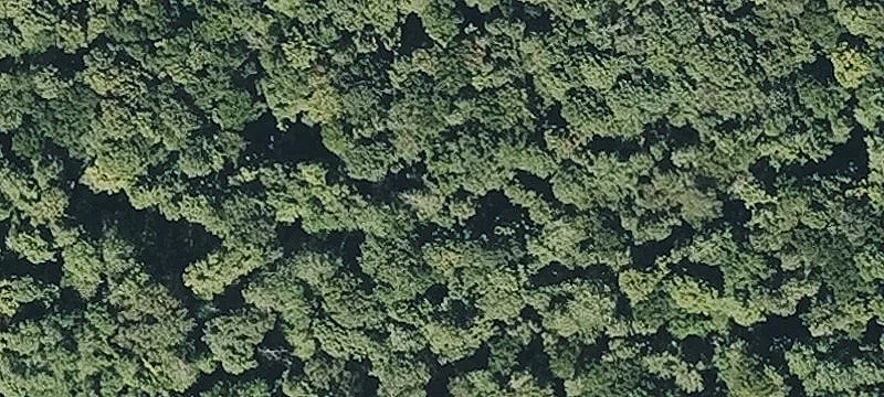 Berkshire Trl