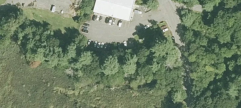71 Whitney St