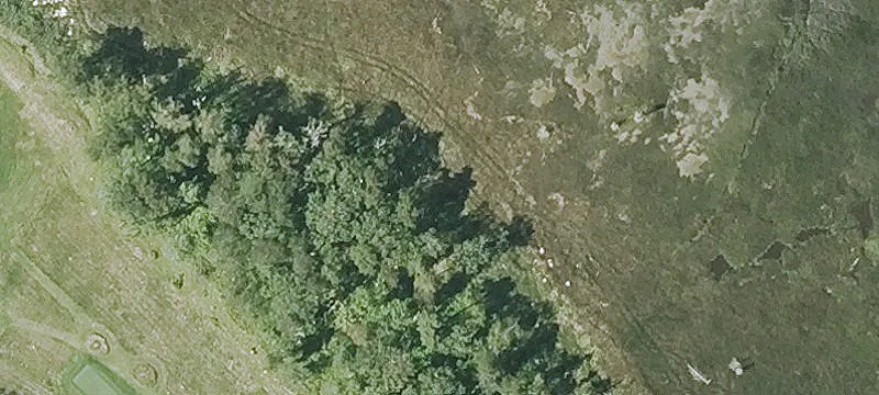 11 Pt Rd