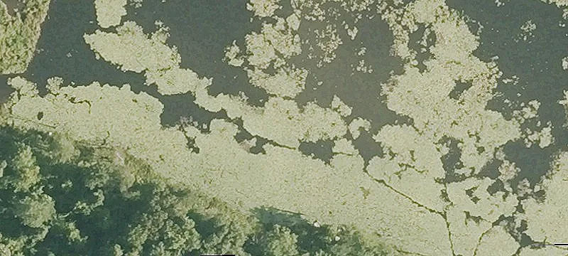20th Chase Rd