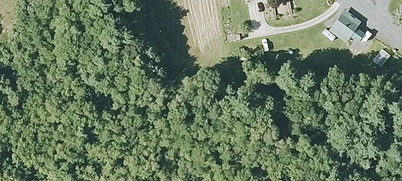 53 Palmer Rd