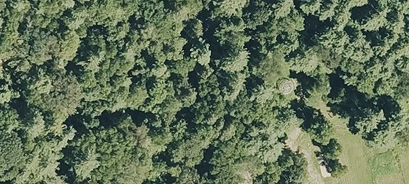 904 Mohawk Trl