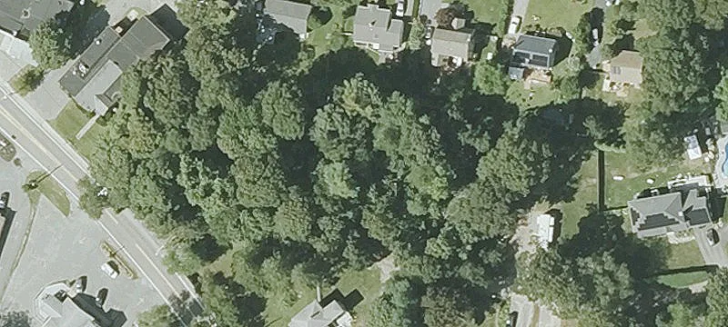 68 Bartlett Ave