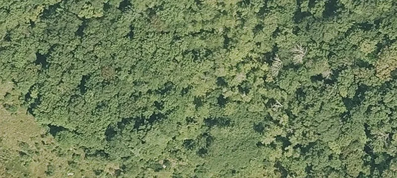 90 Mcbride Rd