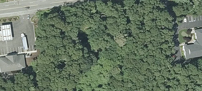 402 Nathan Ellis Hwy