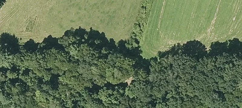 48 Russellville Rd