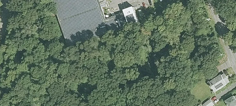 61 Tripp St