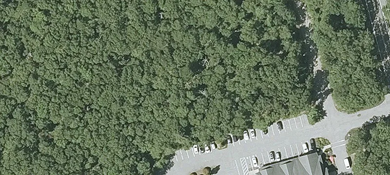 291 Cotuit Rd