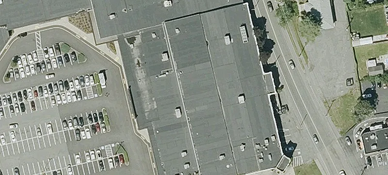 61 Torrey St