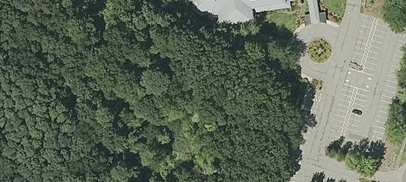 350 Memorial Dr