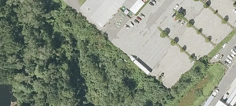 99 Springfield Rd