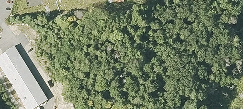 154 Quabbin Blvd