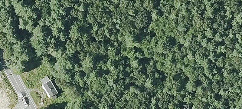 164 Palmer Rd