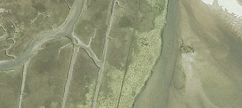 201 Ellisville Rd